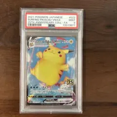 2026年最新】なみのりピカチュウvmax psa10の人気アイテム - メルカリ