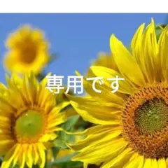 極希少 ヴィンテージ感漂う本革】ILBISONTE 財布メタルボタン ミニマル 