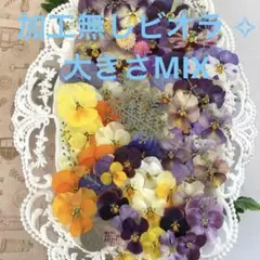 ⑤《加工無し・自然色》サイズMIX︎ ✧ビオラ〜パンジーのドライフラワー︎ ✧50輪