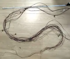 朝顔のツル　リース用　1組