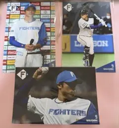 北海道日本ハムファイターズ 中島卓也 ハイライトフォト 写真