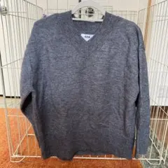 Item thumbnail for item 83ddd278-35a0-4ac4-a786-7365320761bb