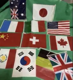 世界各国の国旗 手旗 12種セット 知育玩具