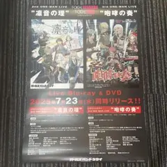 トゲナシトゲアリ 凛音の理 咆哮の奏 B2販促ポスター ガールズバンド