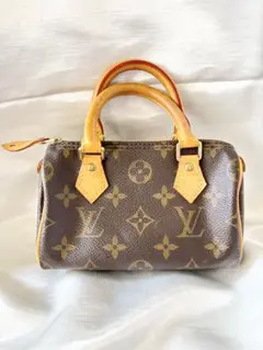 Louis Vuitton モノグラム ミニスピーディ バッグ ポーチ