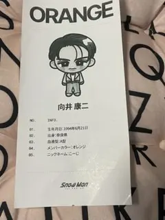 SnowMan メンバー診断 レシート ポップアップ　向井康二さん