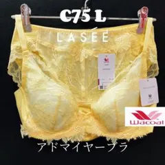 C75 ワコール　ラゼ　アドマイヤーブラ&ショーツのサムネイル