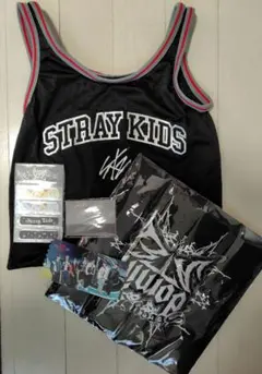 【StrayKids】スキズ dominATE エコパ アプグレ セット