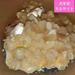 希少犬牙状イエローカルサイト方解石☆天然石　鉱物オレンジカルサイト原石7cm