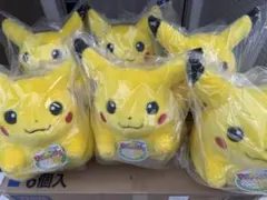 【カートン売り】【30周年記念】おかえり！ピカチュウ 1/1 6個 タカラトミー