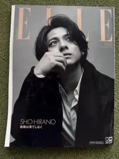 ELLE 2023年11月号 増刊 平野紫耀 表紙