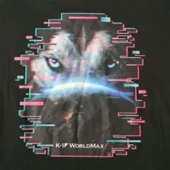 Item thumbnail for item f43c0029-d7e4-4717-b5ea-a95790e1622e