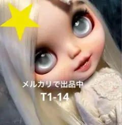 ブライスアイチップ　 グレーのアイチップ