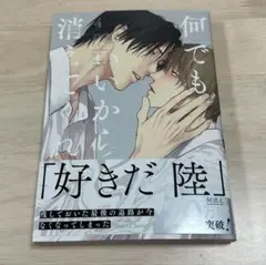 新刊BL ひなこ 何でもいいから消えてくれ 4