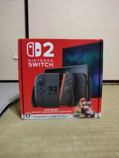 Nintendo Switch Lite 日本語専用