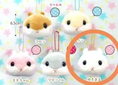 Item thumbnail for item a6bbf9fa-c450-4acc-9ec1-f12308db0074