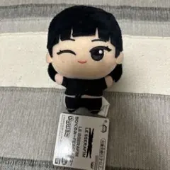 2026年最新】キムチェウォン ぬいぐるみの人気アイテム - メルカリ