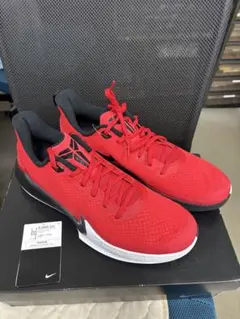 Nike Mamba Focus 'University Red'のサムネイル