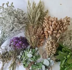 夏のスワッグ花材#和ハーブ　香るハマゴウ　他13種類選べる 花材　お値下げ中のサムネイル
