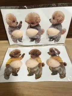 トイプードル　おなかシール　お腹シール　ぷにぷにシール　6枚セット
