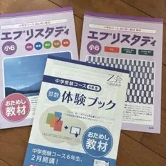 2026年最新】エブリスタディの人気アイテム - メルカリ