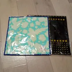 Item thumbnail for item 2970c17e-f9b9-4738-8c70-5f1286f1ef5e