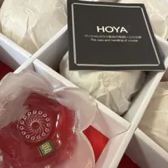 HOYA 花形小さい器 5点セット