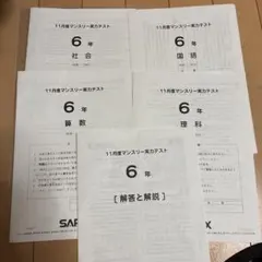 2026年最新】サピックス 6年 テストの人気アイテム - メルカリ