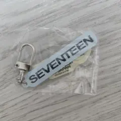 SEVENTEEN RIGHT HERE カプセルトイ アクキー パフォチ