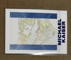 カイザー　ぱしゃこれ　21枚 2025年最新】ぱしゃこれ カイザーの人気アイテム - メルカリ