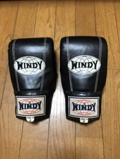 2025年最新】WinDy ボクシンググローブの人気アイテム - メルカリ