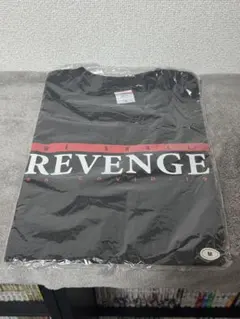 フォルクスワーゲンGTI FAN FEST 2026 Tシャツ ブラックM - メルカリ