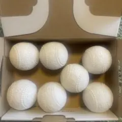 ナガセケンコー KENKO BALL J球 5個+ MARU S J球 2個