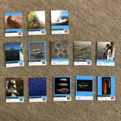 Item thumbnail for item 6a136cbf-4514-40fe-a648-d5441043971e