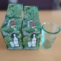 Item thumbnail for item 17f43b5c-06c1-4da4-b002-380fcd5936ec