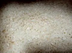 白米 ひとめぼれ　5kgのサムネイル