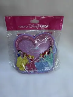 ディズニーリゾート プリンセス フォトフレーム マグネット