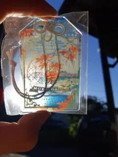 Item thumbnail for item d114b0a4-aeb5-482e-a6c4-5f34d82add14