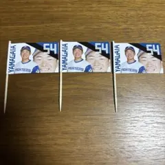 山縣秀 応援グッズ