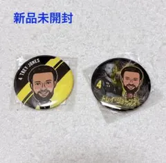 【新品未開封】群馬クレインサンダーズ トレイ・ジョーンズ 缶バッジセット