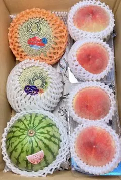 糖度19!! 「太陽の華」富良野メロン 2玉 品種：ティアラ - メルカリ