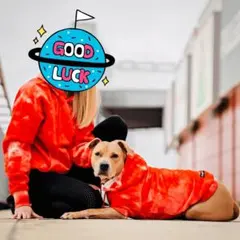 Dog clothes