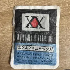 ハンターライセンス　カイロ