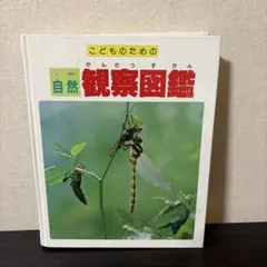 【セール】こどものための自然観察図鑑 昆虫 クワガタムシ セミ トンボのサムネイル