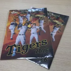 非売品】阪神タイガース 甲子園球場来場記念グッズ2026 クリアファイル