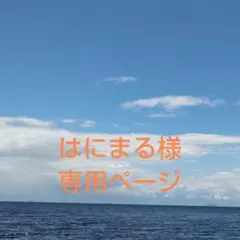 はにまる様☆専用ページ