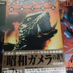 2025年最新】昭和ガメラの人気アイテム - メルカリ
