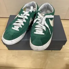 NIKE ブルーイン 27cm ジャンク