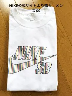 NIKE SB Tシャツ マルチカラーロゴ ホワイトのサムネイル