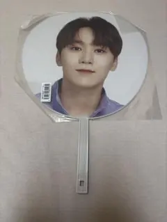 SEVENTEEN スングァン Ode to You うちわ SVT セブチ